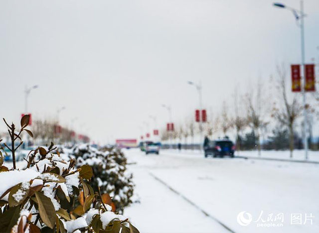 疑是林花昨夜開！雄安迎來2018年第一場(chǎng)雪