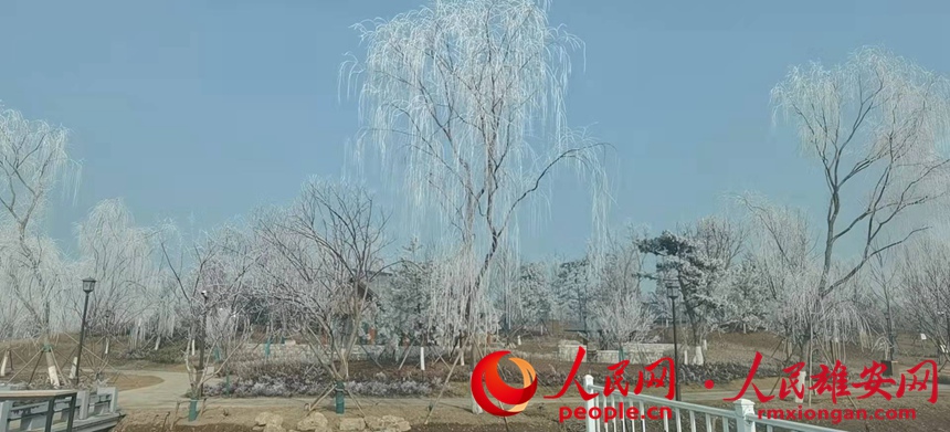 䭂֦RΔz