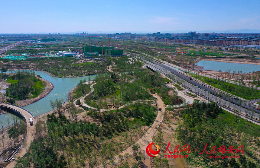 雄安新區(qū)啟動區(qū)中央綠谷項目。人民網(wǎng) 李兆民攝