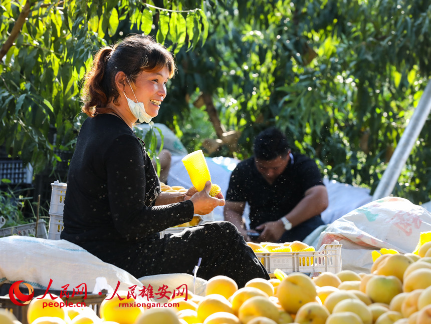 村民們正在將桃子打包。人民網(wǎng) 李兆民攝