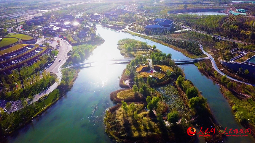 雄安郊野公園秋色如畫(huà)。人民網(wǎng)?楊華龍攝