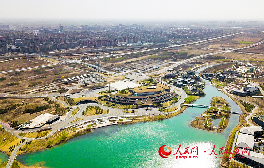 航拍雄安郊野公園。人民網(wǎng)?宋燁文攝