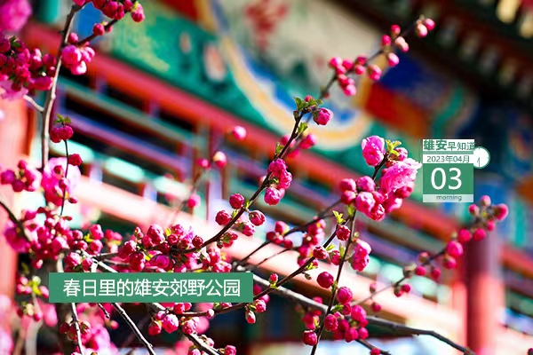                         ●雄安：大規(guī)模形態(tài)開發(fā)正向功能開發(fā)、平臺(tái)開發(fā)推進(jìn)。●雄才卡線上申領(lǐng)工作常態(tài)化，每月1日-10日可申報(bào)。●青年人才驛站、青年人才公寓入住申請(qǐng)工作啟動(dòng)。●雄安昝崗組團(tuán)有23個(gè)地點(diǎn)正式命名。●雄安招人，從事水利泵站建設(shè)、運(yùn)營(yíng)相關(guān)工作。            