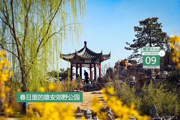             ●雄安外圍骨干交通路網(wǎng)、內(nèi)部骨干道路體系基本成形。●雄安國(guó)貿(mào)中心即將轉(zhuǎn)入地下主體結(jié)構(gòu)施工。●營(yíng)造“園在城中”的綠色生活環(huán)境，雄安容東真不錯(cuò)。●白洋淀新出行方式即將正式亮相。???            