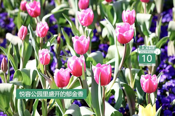             ●雄安新區(qū)管委會(huì)與中國(guó)兒童中心簽署戰(zhàn)略合作協(xié)議。●河北新官宣：加快建設(shè)雄安新區(qū)全球創(chuàng)新高地。●雄安自助辦系統(tǒng)投用，可辦53項(xiàng)本地事項(xiàng)。●雄安容西片區(qū)有了“健康小屋”。???            