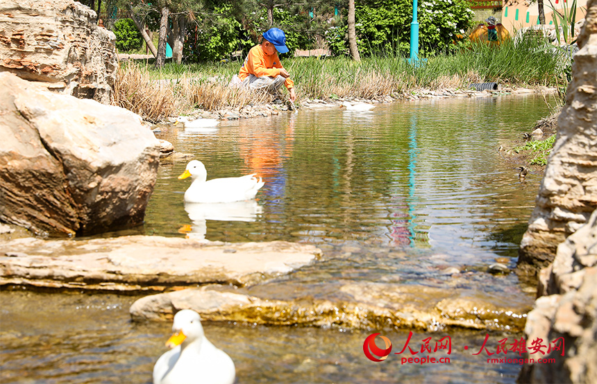 雄安辛瑪森林動(dòng)物樂園內(nèi)景。人民網(wǎng)?宋燁文攝