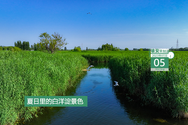                         ●雄安將重點(diǎn)推進(jìn)雄安工業(yè)設(shè)計(jì)“五個(gè)一工程”。●雄安職工門（急）診醫(yī)療費(fèi)用支付規(guī)定來(lái)了。●雄安綜保區(qū)有7大功能區(qū)，計(jì)劃重點(diǎn)發(fā)展4大產(chǎn)業(yè)。●雄安雄東片區(qū)B單元新增47座樓棟封頂。 