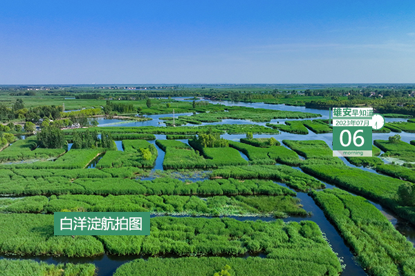                         ●深圳：不斷加強(qiáng)與雄安建設(shè)的對(duì)接聯(lián)動(dòng)，深化各領(lǐng)域深層次務(wù)實(shí)合作。●雄安新區(qū)職工住房公積金繳存基數(shù)有調(diào)整。●重點(diǎn)解決社區(qū)內(nèi)問題，雄安容東探索建立“一呼聯(lián)應(yīng)”機(jī)制。●雄安新區(qū)中考成績(jī)一分一檔統(tǒng)計(jì)表公布。 