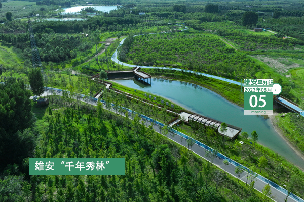                         ●張國(guó)華：落實(shí)落細(xì)防汛和安全生產(chǎn)各項(xiàng)工作任務(wù)。●航天科技集團(tuán)將加快相關(guān)產(chǎn)業(yè)項(xiàng)目落地，推動(dòng)更多創(chuàng)新要素資源向雄安集聚。●雄安新區(qū)技能人才統(tǒng)計(jì)工作全面開啟。●轉(zhuǎn)擴(kuò)！雄安人力資源服務(wù)有限公司面向社會(huì)公開招聘18人。 
