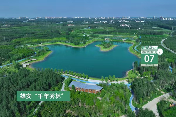                         ●張國(guó)華：著力提高新區(qū)防汛科學(xué)調(diào)度和河流行洪能力，盡最大可能減輕行洪對(duì)農(nóng)作物、農(nóng)房和群眾生活的影響。●雄安新區(qū)各重點(diǎn)項(xiàng)目已陸續(xù)開始施工。●雄安開展全方位衛(wèi)生防疫消殺工作。●注意，安新縣稅務(wù)局今日搬遷至新地點(diǎn)。 