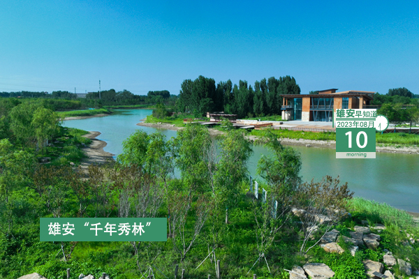                         ●關(guān)于地?zé)嵘a(chǎn)井鉆井技術(shù)，雄安一新規(guī)印發(fā)。●雄安中院全省率先開啟“無(wú)紙化辦案”新模式。●注意，雄安2023年“三支一扶”招募人員體檢通知發(fā)布。●好消息！雄東B單元安置房各標(biāo)段工程均已復(fù)工。 