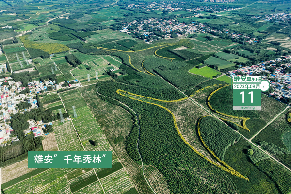                         ●目前，新區(qū)防汛抗洪工作總體形勢(shì)平穩(wěn)。●184億→2554億，雄安本外幣貸款余額6年增長(zhǎng)近14倍。●雄安第三屆集體婚禮來(lái)了！●雄安一人獲國(guó)家級(jí)榮譽(yù)稱號(hào)。 