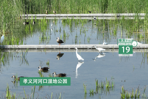                         ●院士專家齊聚雄安，就生物醫(yī)藥產(chǎn)業(yè)發(fā)展做研討。●雄安印發(fā)新方案，聚焦解決企業(yè)問題癥結(jié)。●雄安擬推薦省見義勇為英雄（群體）候選人正在公示。●雄縣事業(yè)單位招聘人員筆試時(shí)間確定。 