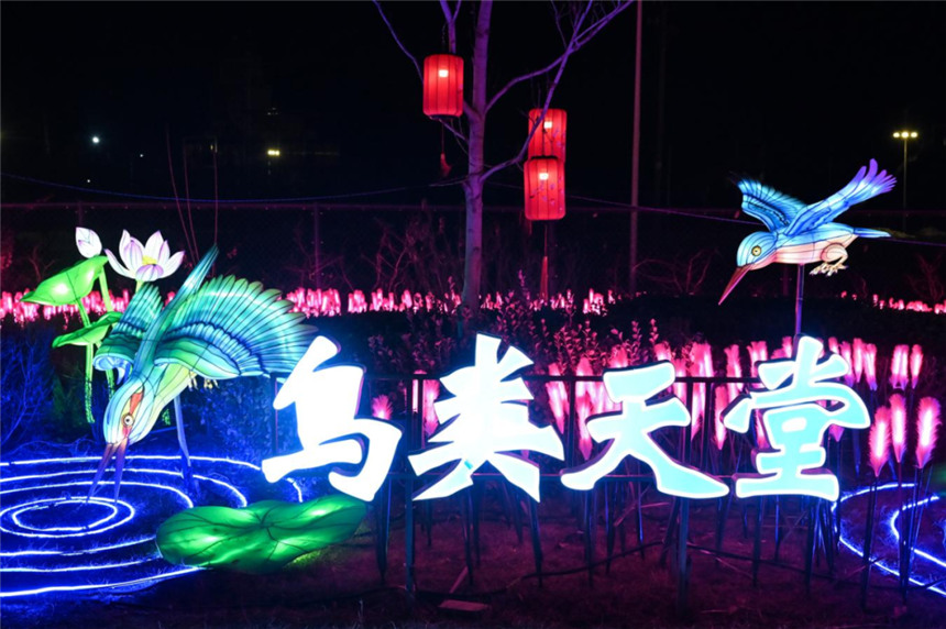 安新縣元宵燈會現(xiàn)場。張學(xué)農(nóng) 攝