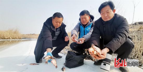 雄安新區(qū)：愛鳥志愿者新春護鳥飛3.png